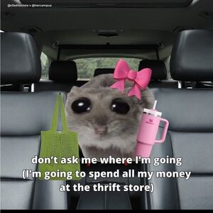 Meet your Posher, Anika